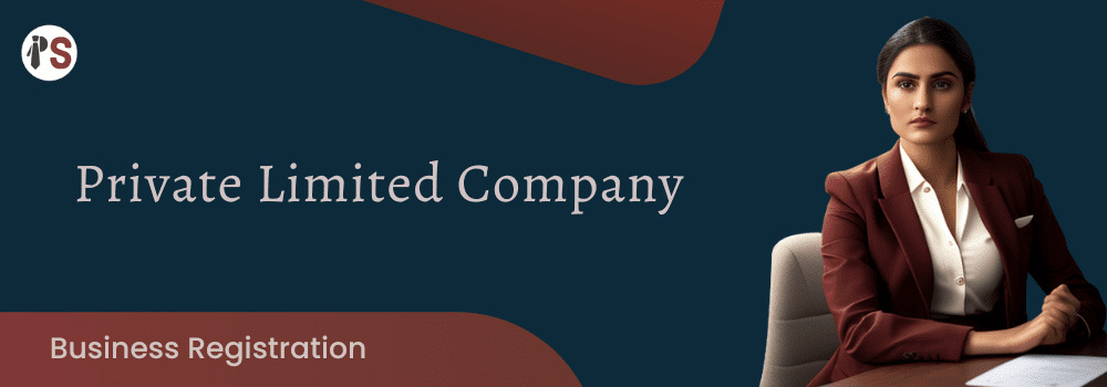 https://www.professionalsaathi.com/Private Limited Company